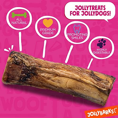 Jolly Barks Bndle - 6 עצמות כלבים + 6 מקלות בריון | 6-ICH עצמות מחור | מקלות בריון בגודל 6 אינץ '